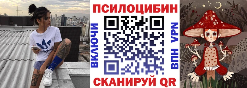 Купить где  Ершов  Псилоцибиновые грибы Cubensis 